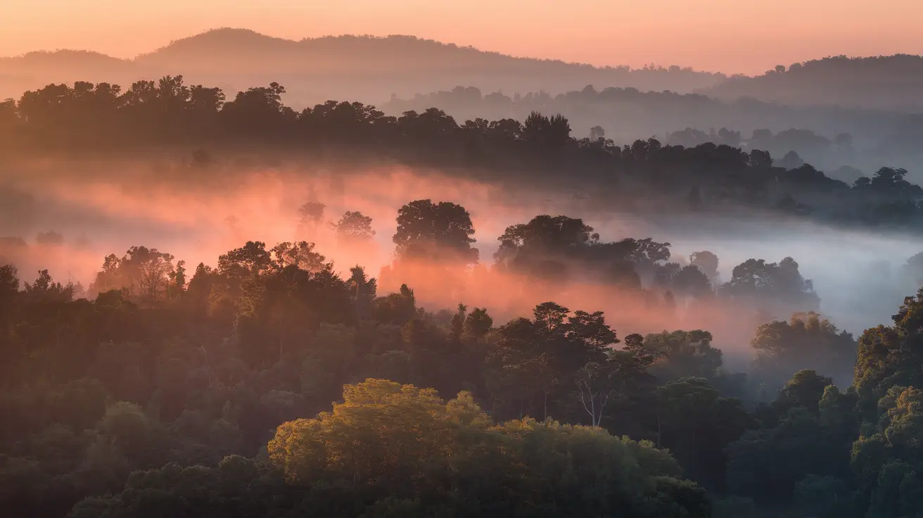 Avatar for H. Tanaka