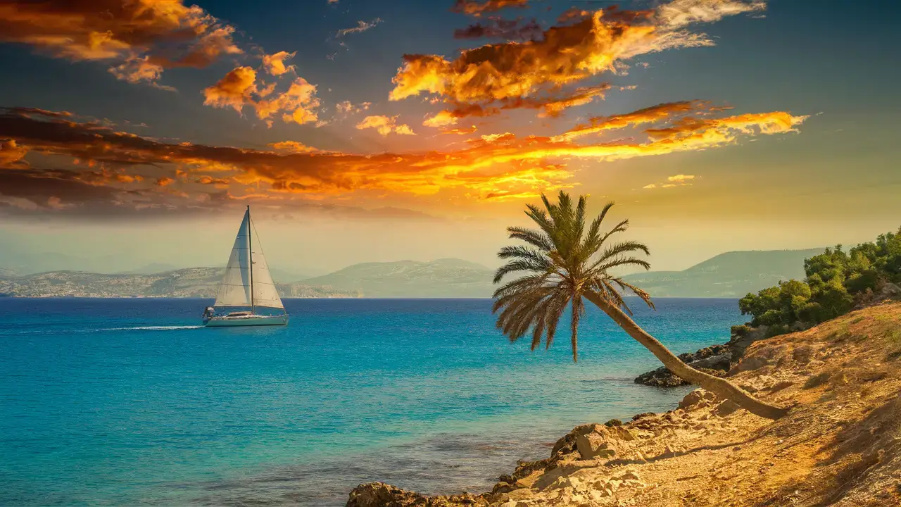 Avatar for T. Williams