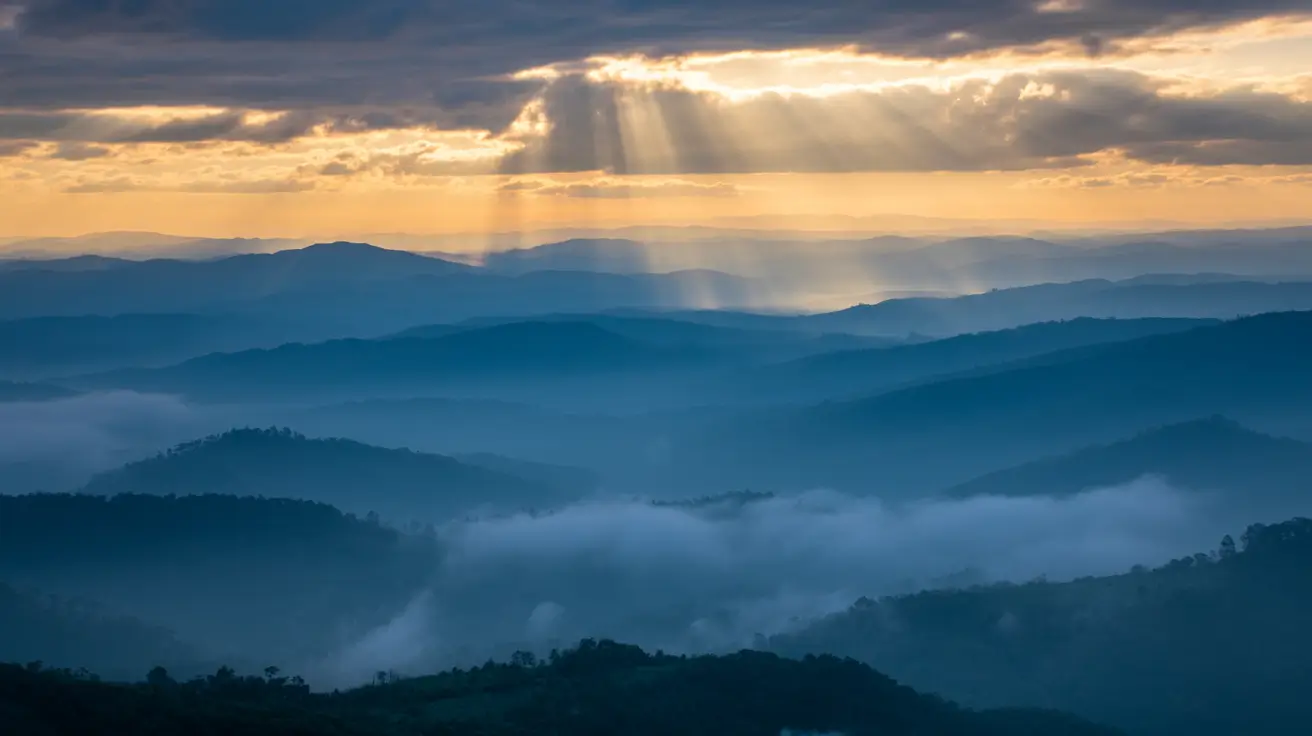 Avatar for O. Murphy